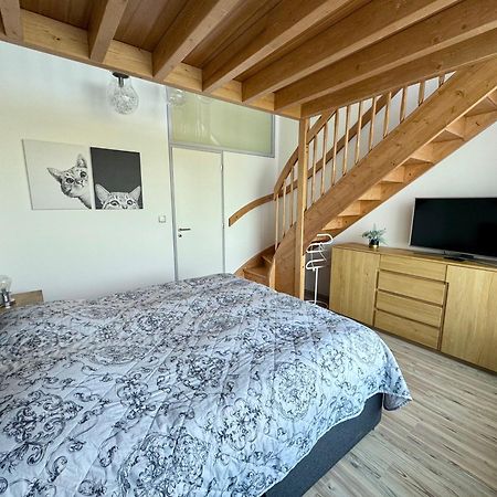 Miky Apartman Klinovec Garden Loucna pod Klinovcem Ngoại thất bức ảnh